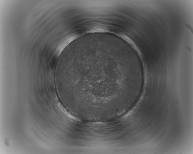 X0000100341337200806051529