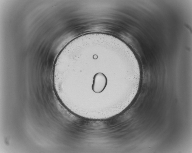 X0000100341338200806051529