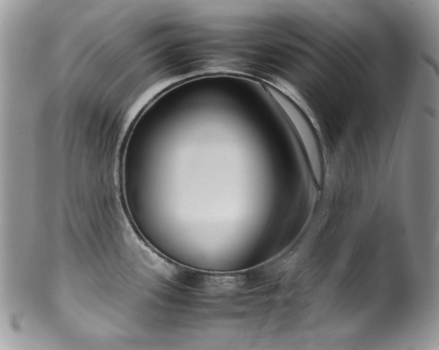 X0000100341339200806051529