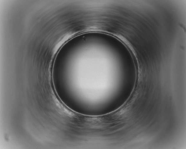 X0000100341341200806051529