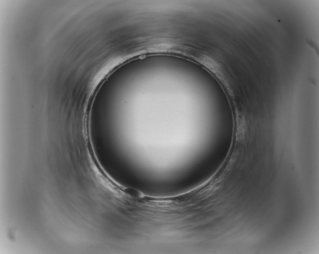 X0000100341342200806051529