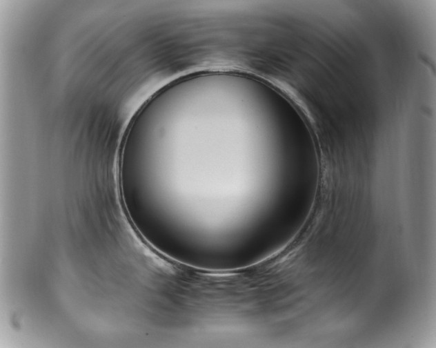 X0000100341343200806051529