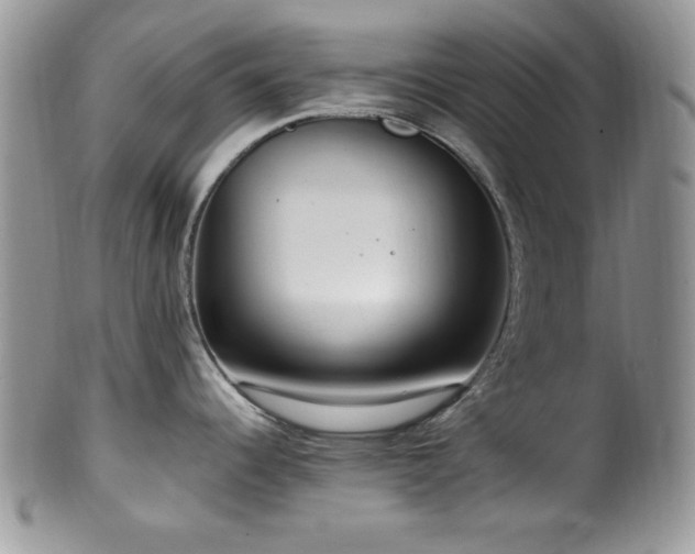 X0000100341344200806051529