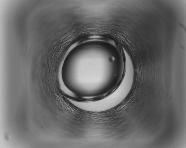 X0000100341345200806051528