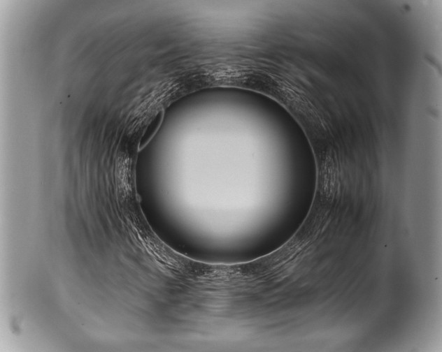 X0000100341346200806051528