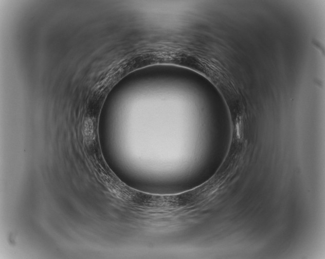 X0000100341347200806051528