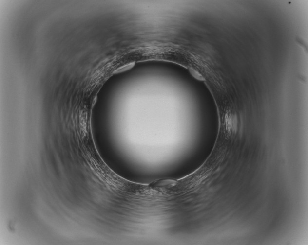 X0000100341348200806051528