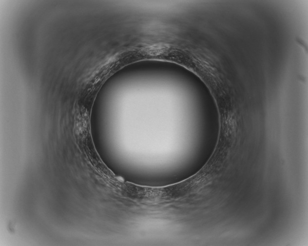 X0000100341349200806051528