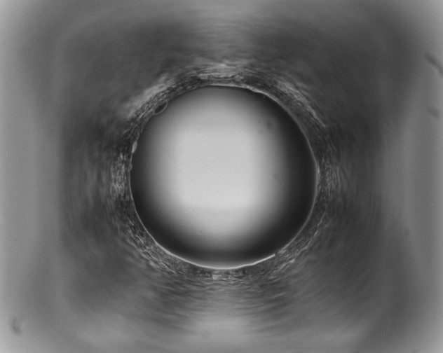 X0000100341350200806051528