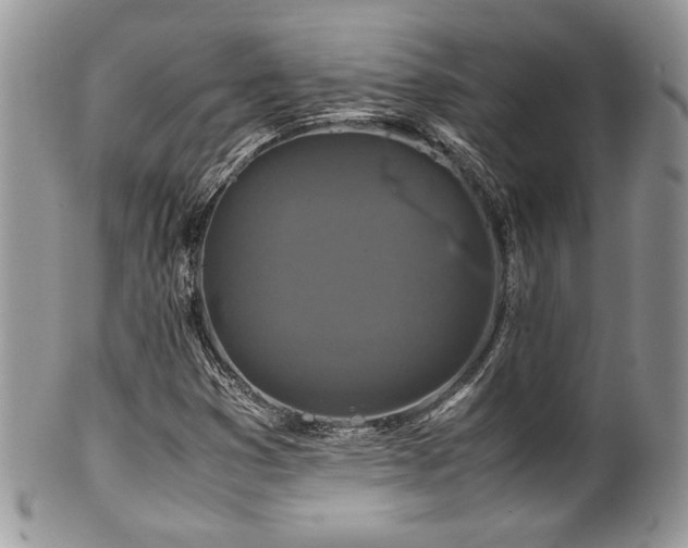 X0000100341353200806051528
