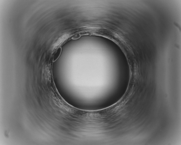 X0000100341354200806051528