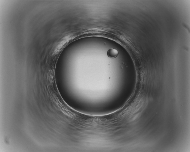 X0000100341355200806051528