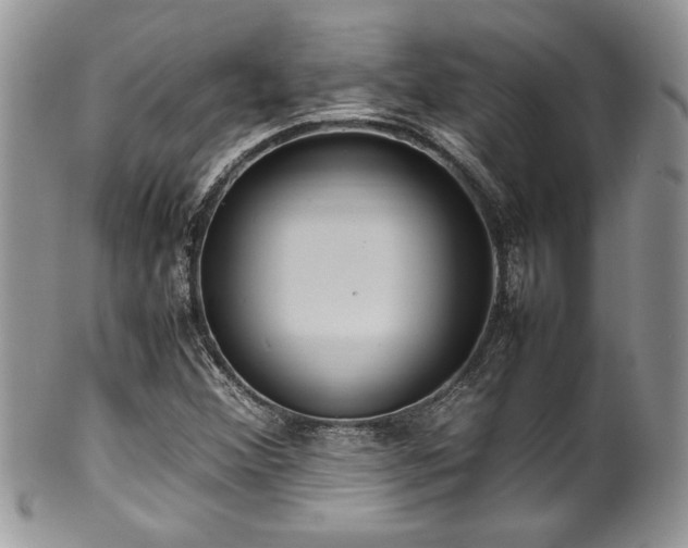 X0000100341356200806051528