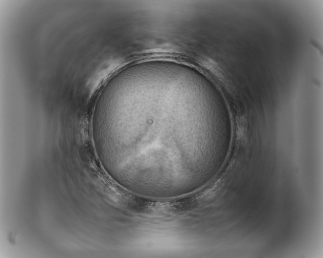 X0000100341357200806051528