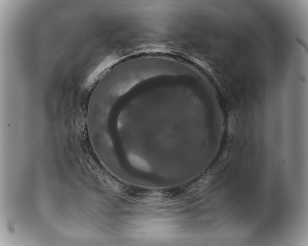 X0000100341359200806051528