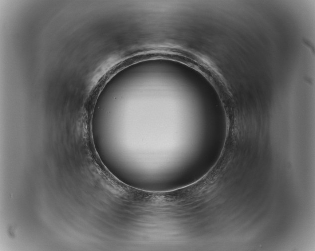 X0000100341360200806051528