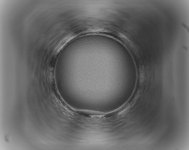 X0000100341361200806051528