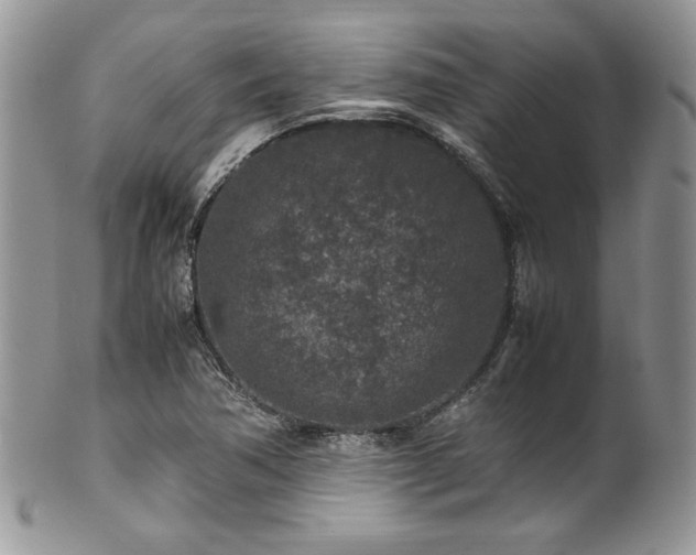 X0000100341362200806051528