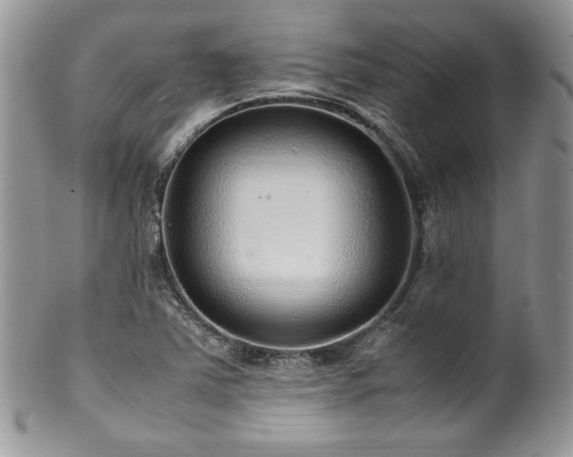 X0000100341363200806051528