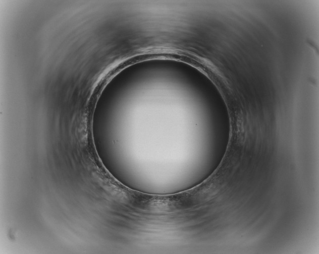 X0000100341364200806051528