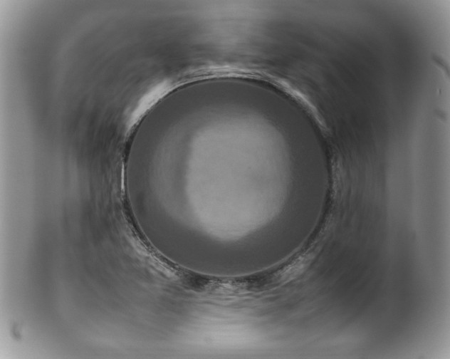 X0000100341365200806051528