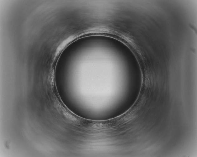X0000100341366200806051528
