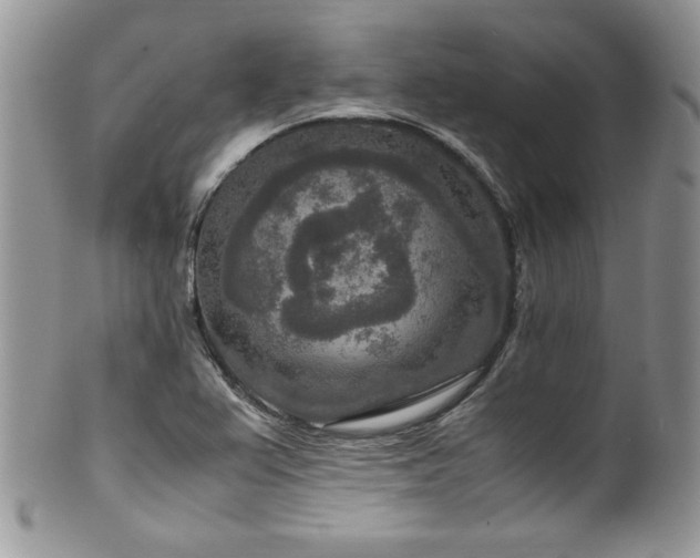 X0000100341367200806051528