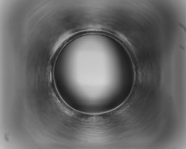 X0000100341368200806051528