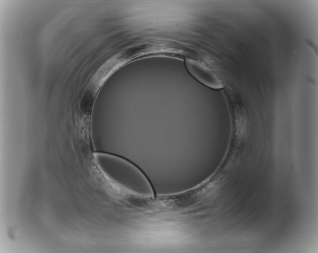 X0000100341369200806051528