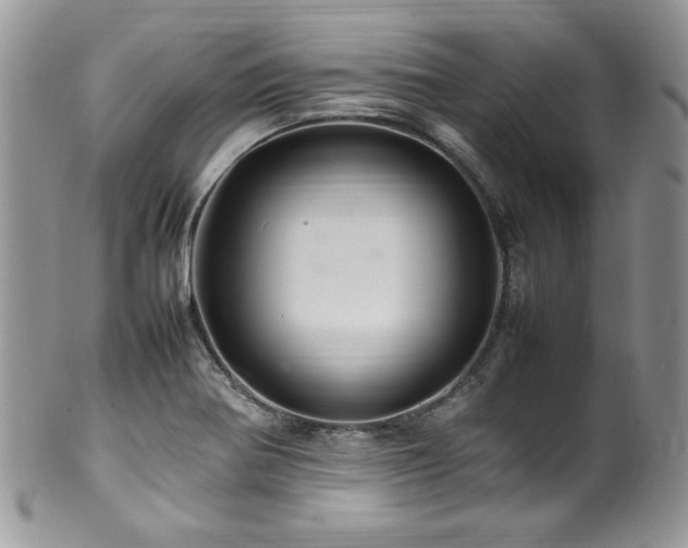 X0000100341370200806051528