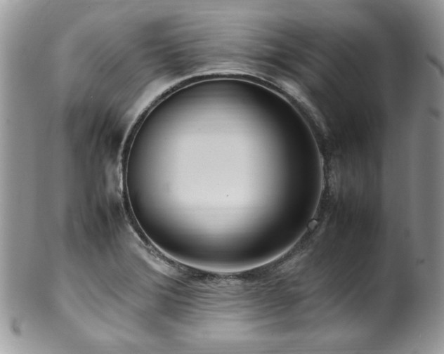X0000100341372200806051528