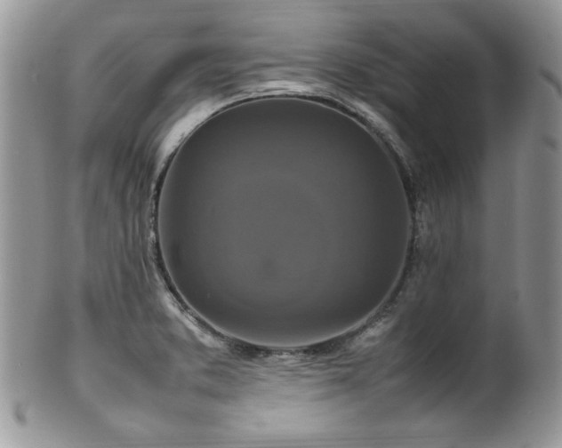 X0000100341373200806051528