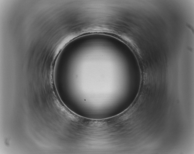 X0000100341374200806051528