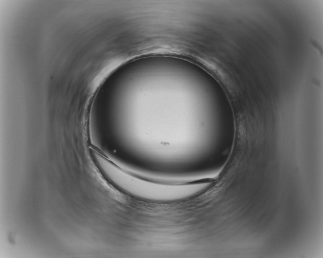 X0000100341375200806051528