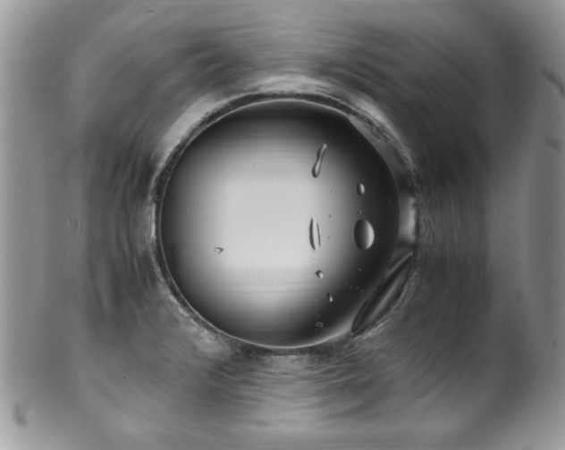X0000100341376200806051528