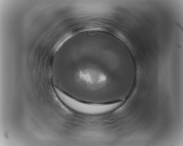 X0000100341377200806051528