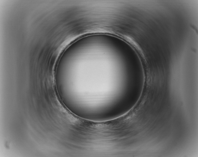 X0000100341380200806051528