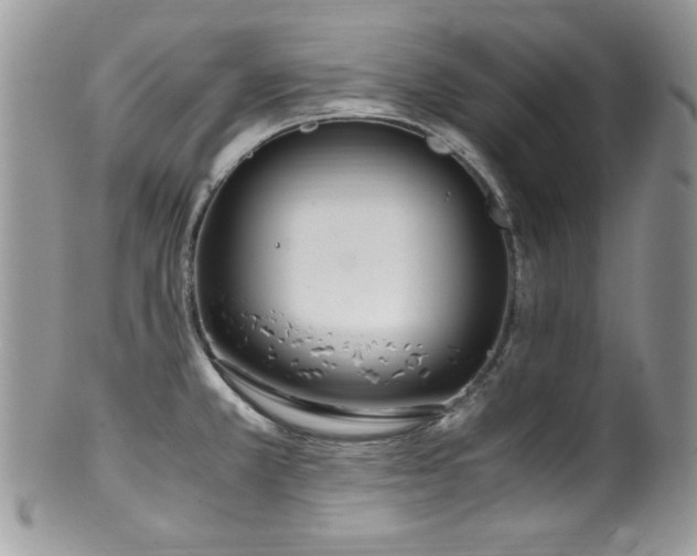 X0000100341381200806051528