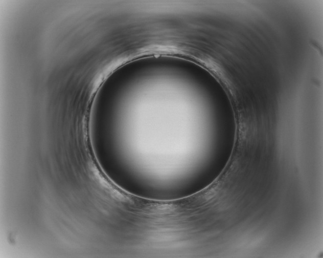 X0000100341382200806051528