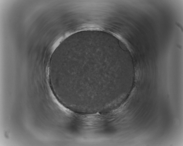 X0000100341383200806051528