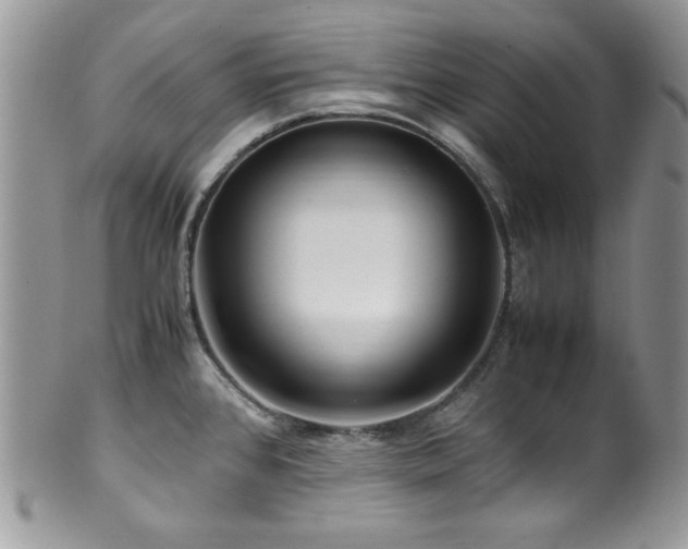 X0000100341384200806051528