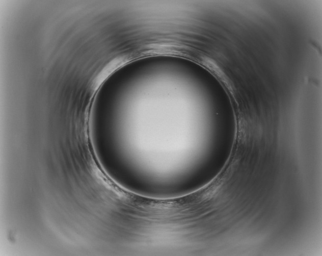 X0000100341386200806051528