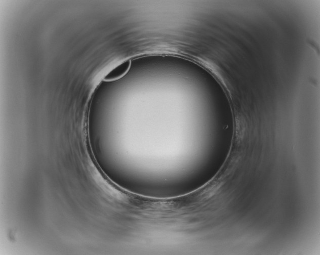 X0000100341387200806051528