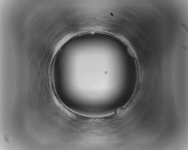 X0000100341389200806051528