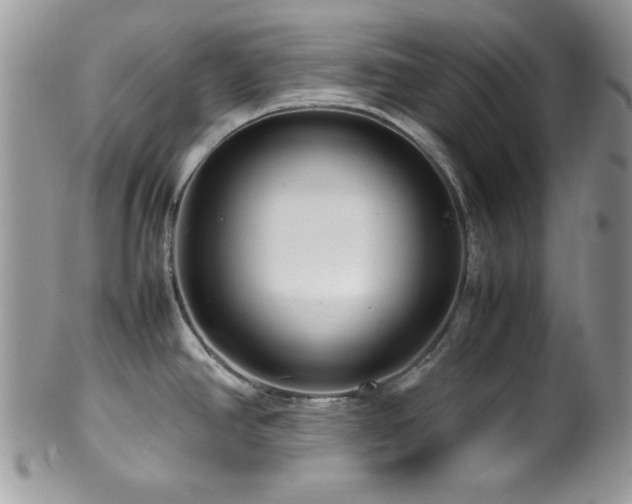 X0000100341390200806051528