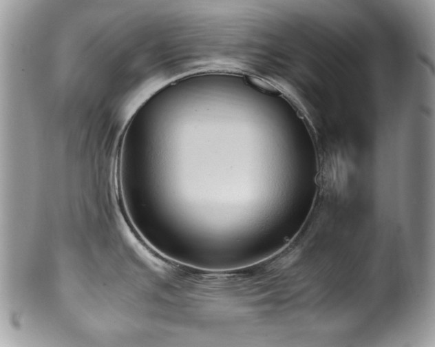 X0000100341391200806051528