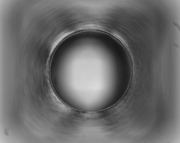 X0000100341392200806051528
