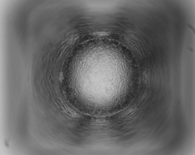 X0000100341393200806051527