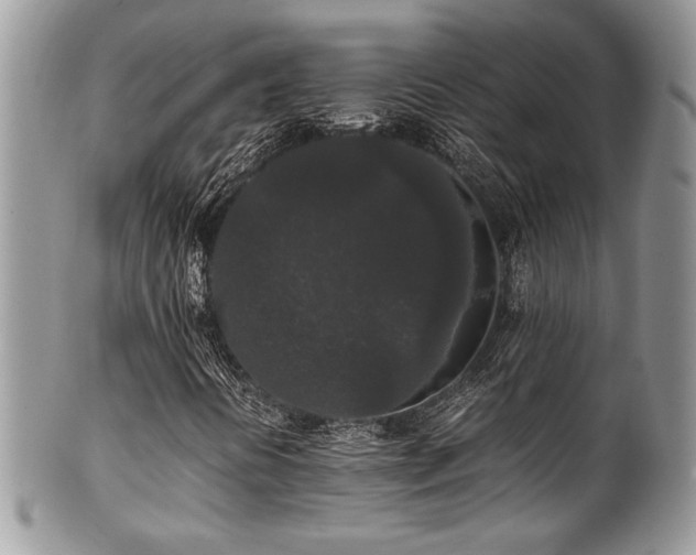 X0000100341394200806051527