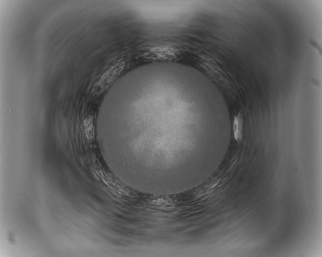 X0000100341395200806051527